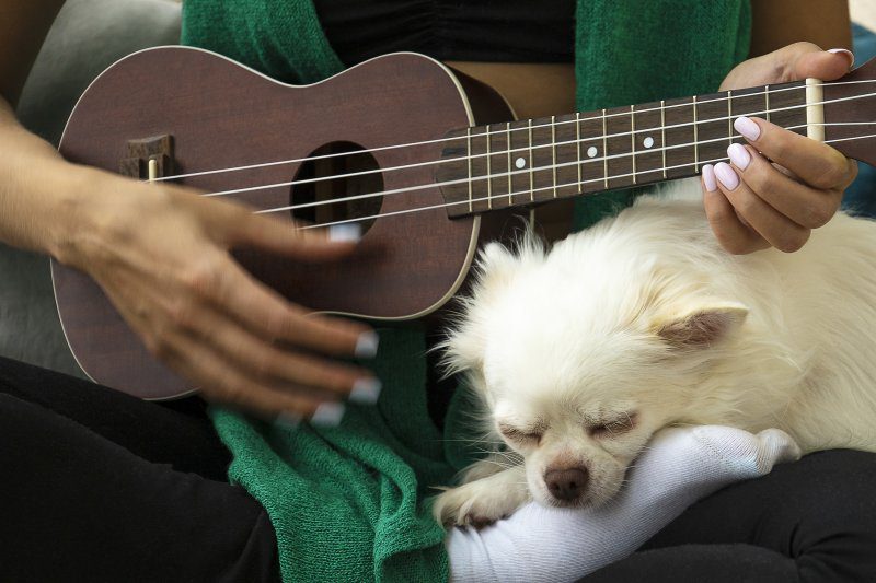 Close up of a woman playing ukulele next to her dog
