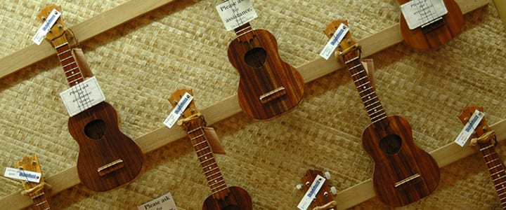 types of ukuleles