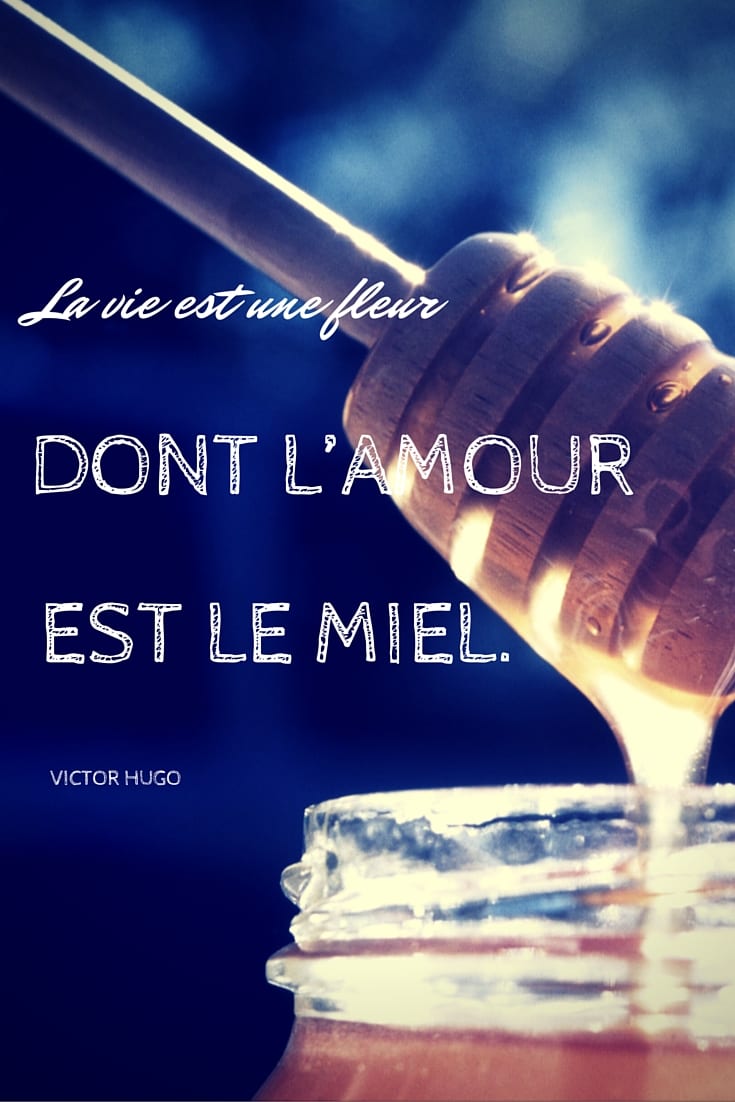 Victor Hugo Famous French Saying