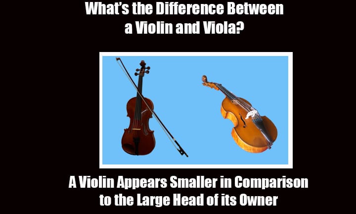 violin jokes 