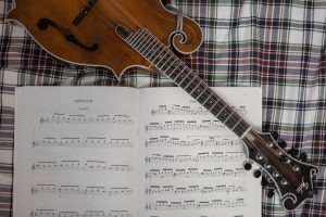 mandolin for beginners