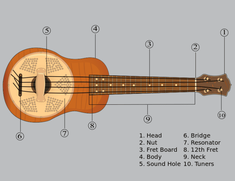 A Beginner's Guide to Ukulele Notes [Charts Included]