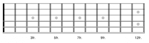 blank frets of a 6 string guitar so you can test your ability