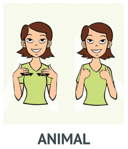 The ASL sign for animal