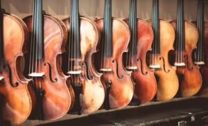 Line of cellos leaned against a wall