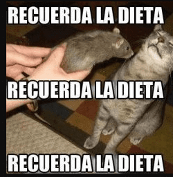 Funny Memes for Learning Spanish