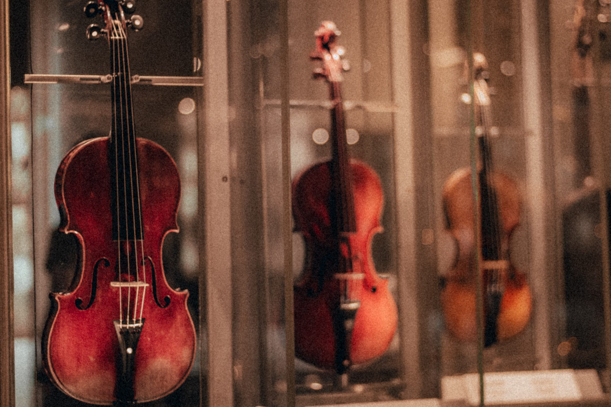 Best Violin for Beginners: Top 15 Brands | TakeLessons Blog