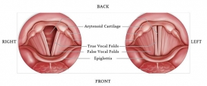 expanding vocal range 