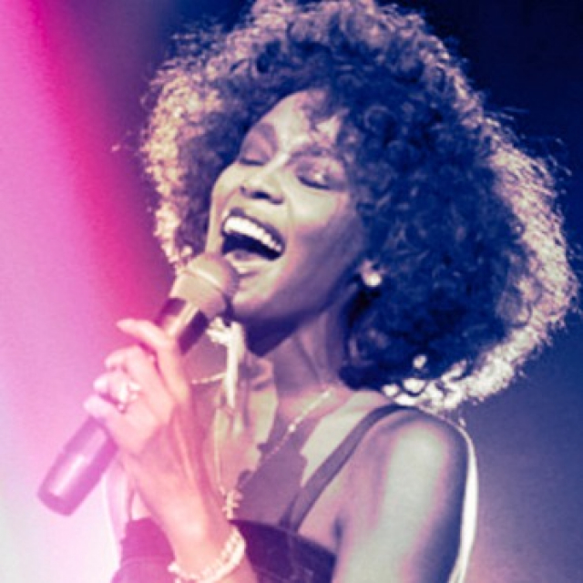 Introduction to Whitney Houston