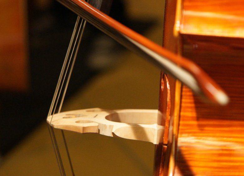 5 String Cello: What It Is & How It Works