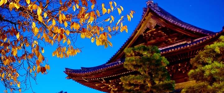 Japanese History: 13 Festivals, Celebrations, and Traditions