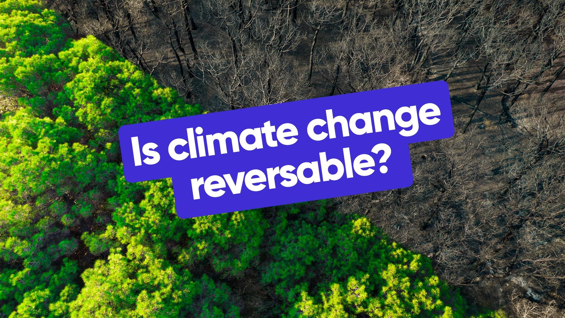 Is climate change reversable?