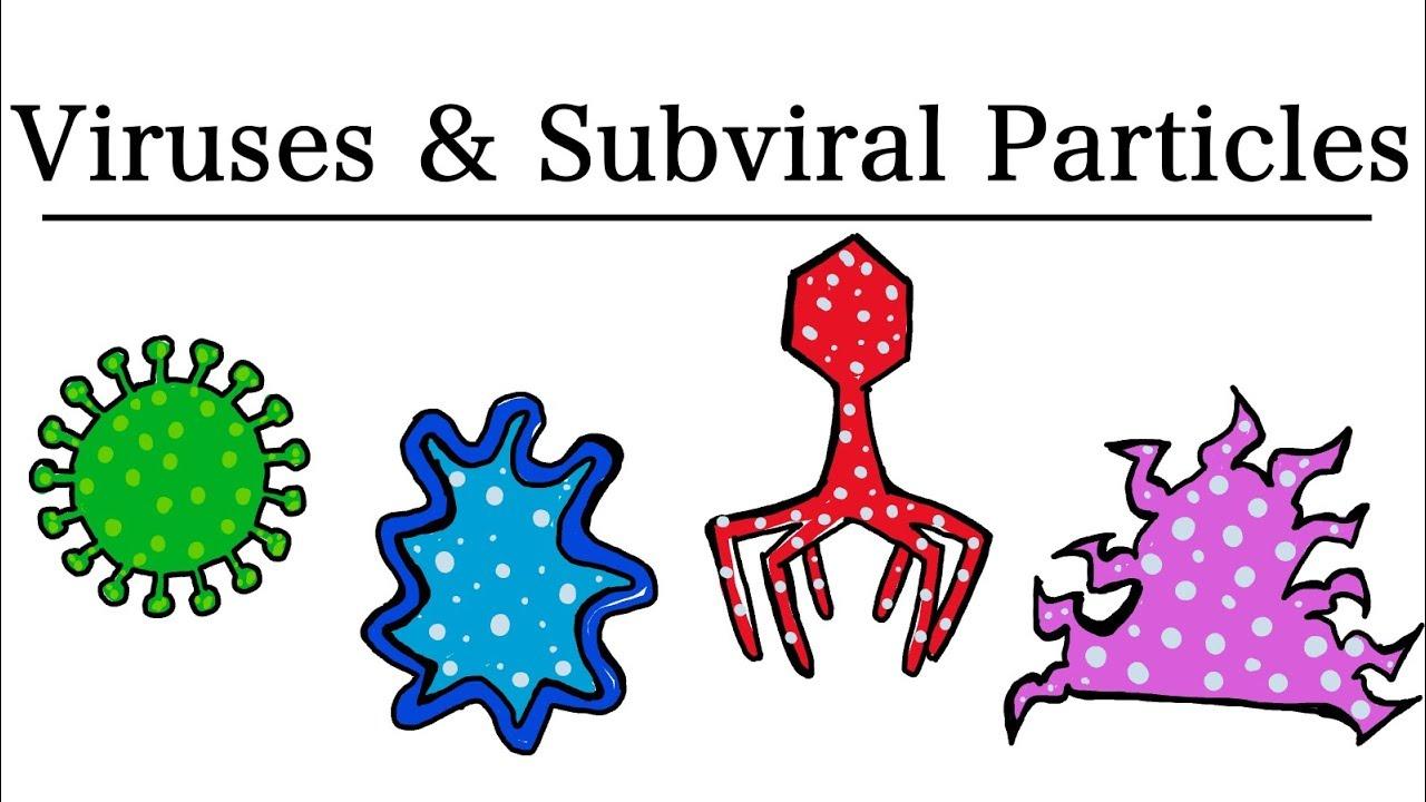 Viruses and Subviral Particles